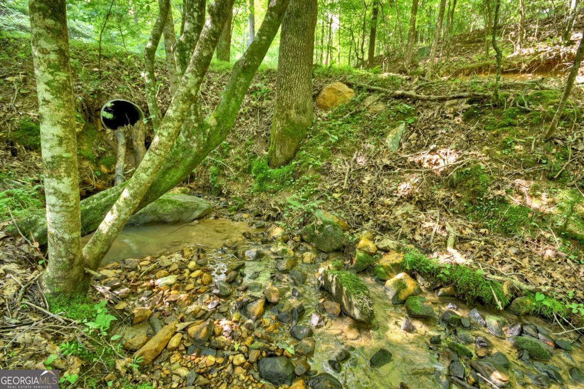 442 North Burgess Gap Road Morganton, GA 30560 - Photo 41 of 82