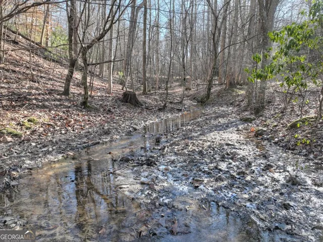 a view of outdoor space with deck and yard