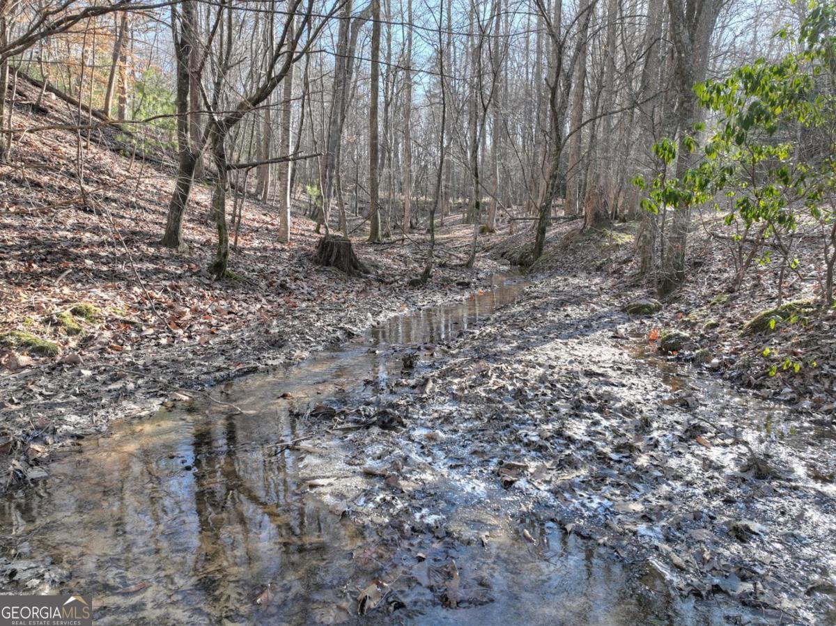 442 North Burgess Gap Road Morganton, GA 30560 - Photo 49 of 82