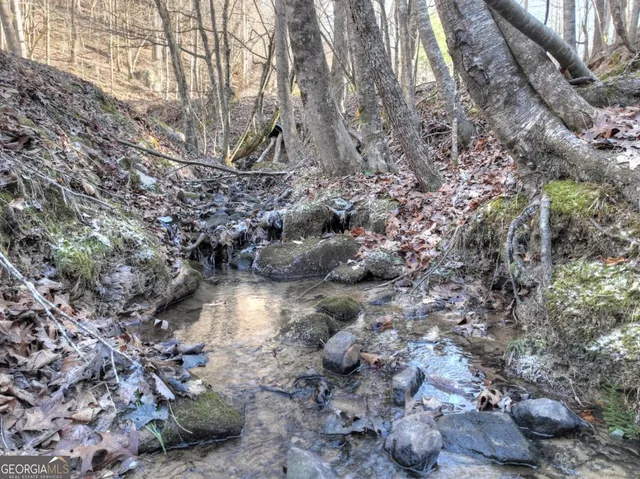 $547,900 | 442 North Burgess Gap Road, Morganton, GA 30560