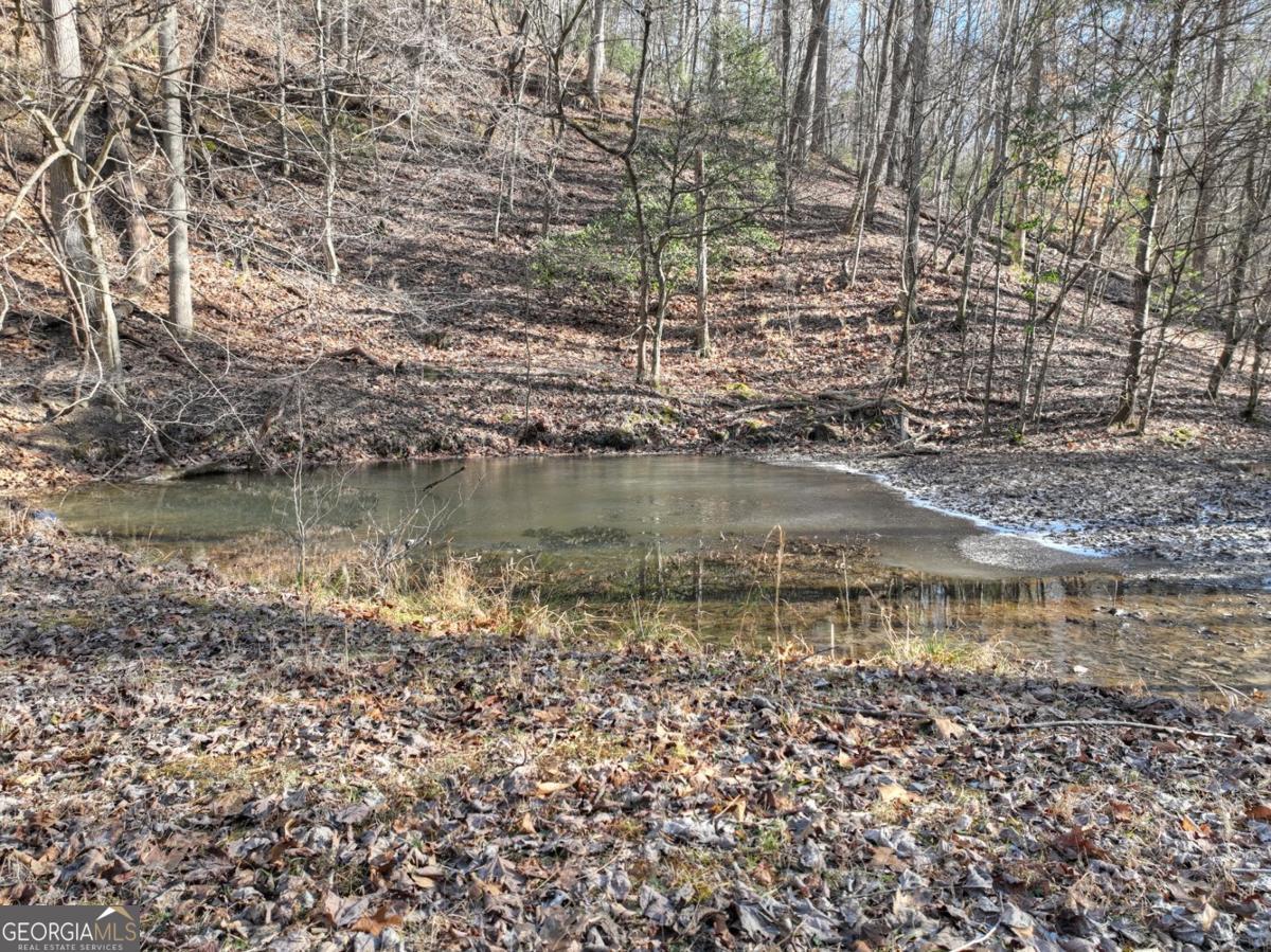 442 North Burgess Gap Road Morganton, GA 30560 - Photo 77 of 82