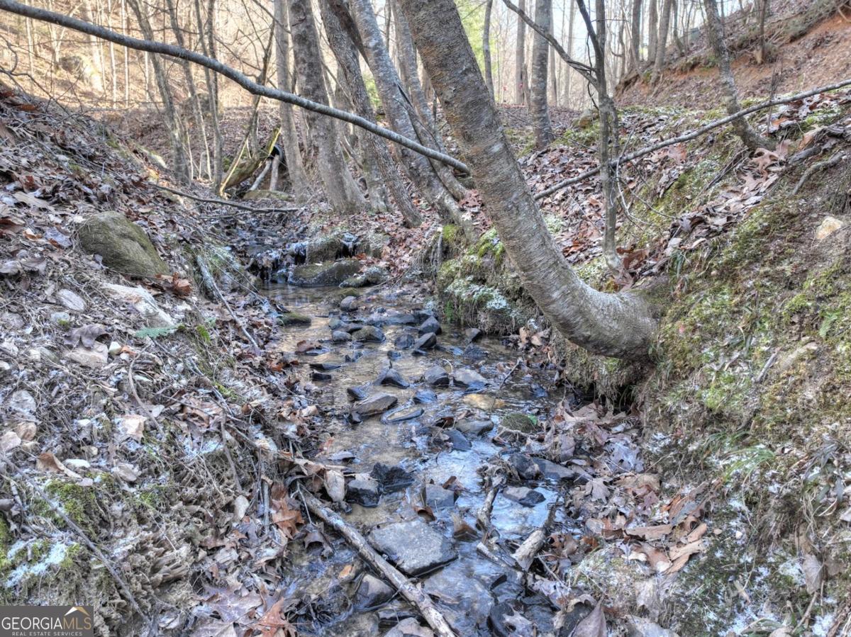 442 North Burgess Gap Road Morganton, GA 30560 - Photo 79 of 82