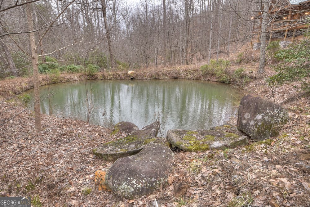 442 North Burgess Gap Road Morganton, GA 30560 - Photo 8 of 82