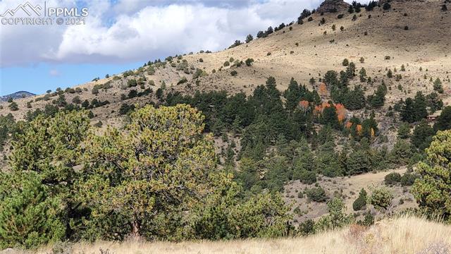 165 Wagonwheel Road Guffey, CO 80820 - Photo 10 of 21 Gallery Image 10