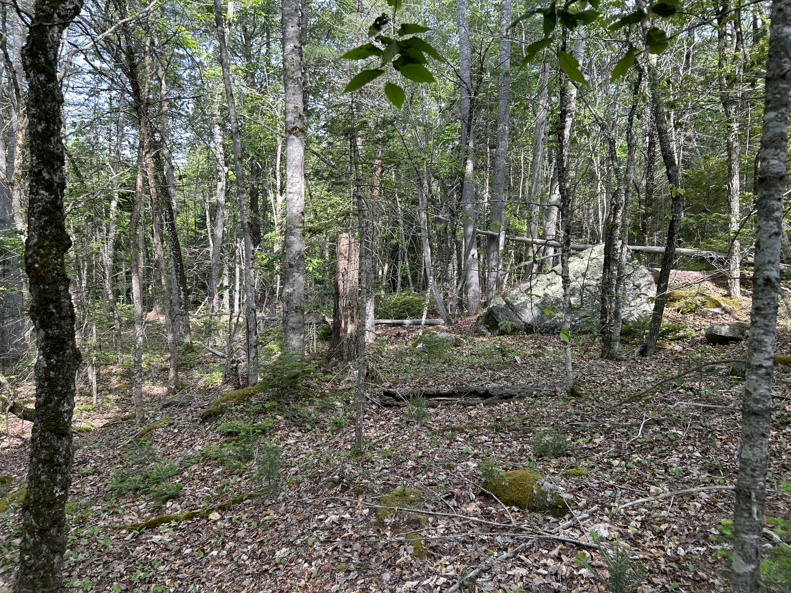 M5-l16 Clark Road Prospect, ME 04981 - Photo 22 of 45 IMG_8773