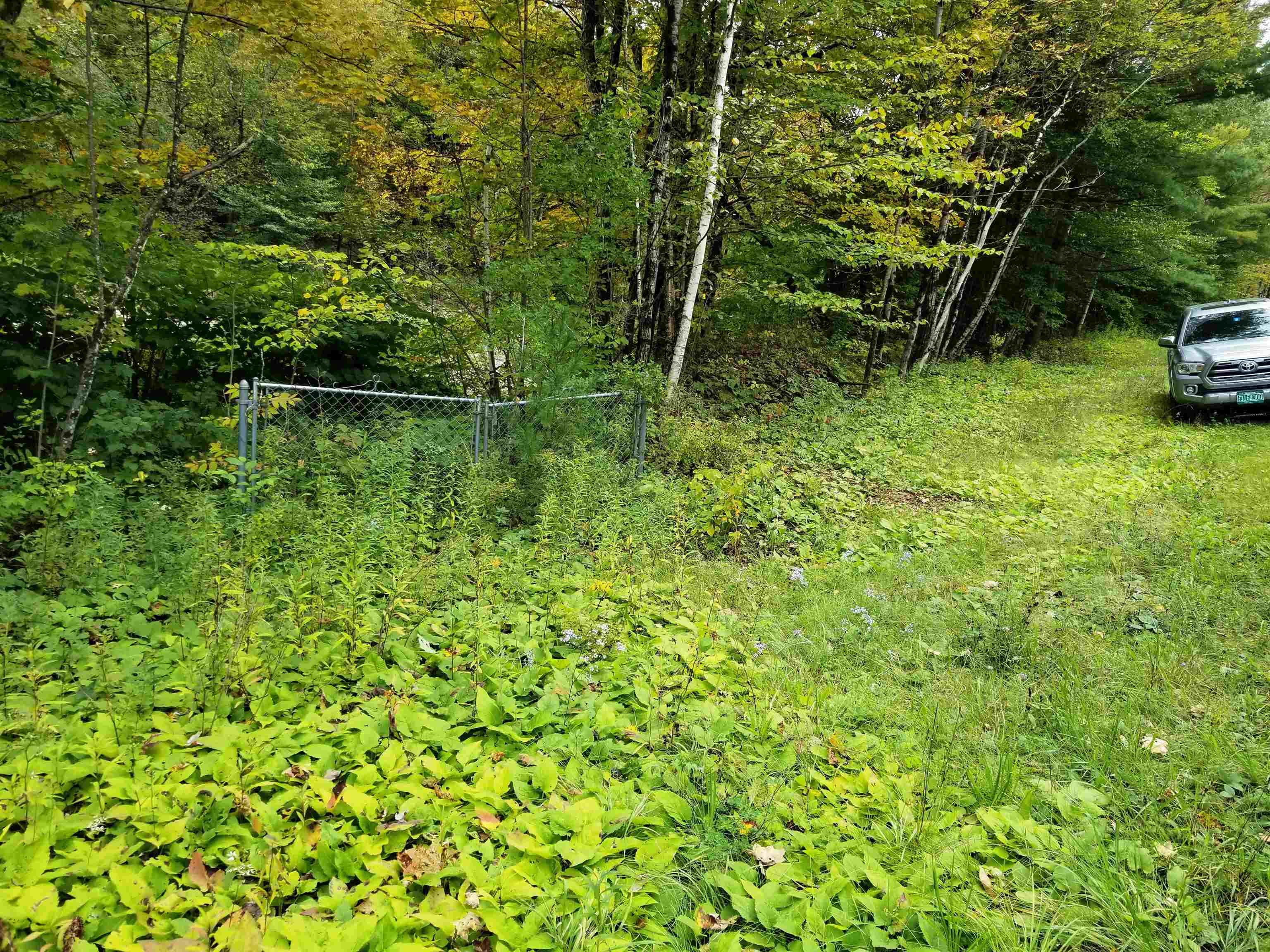 6279 Cold River Road Shrewsbury, VT 05738 - Photo 8 of 34