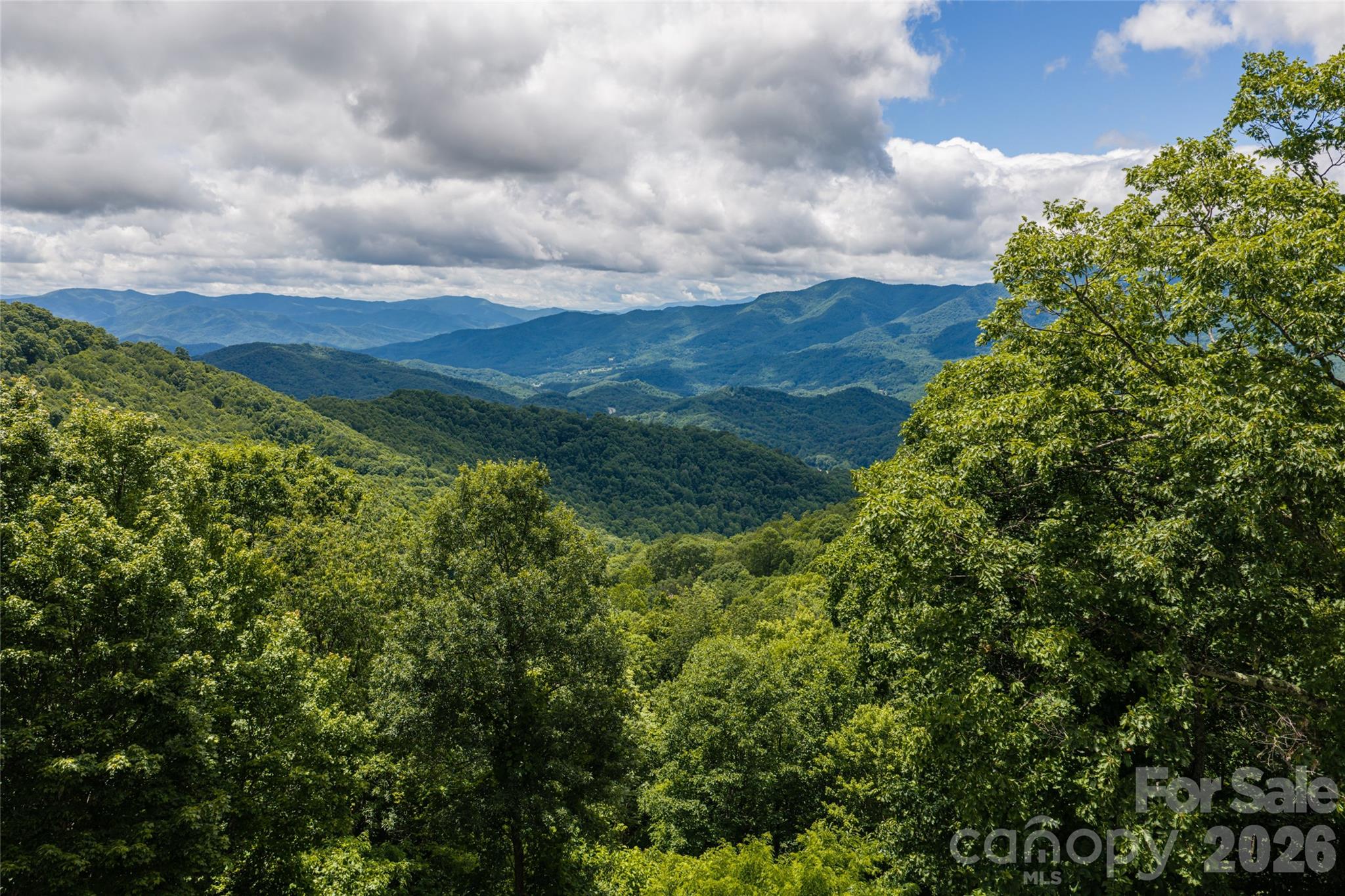 4900 Preserve Road Sylva, NC 28779 - Photo 9 of 48