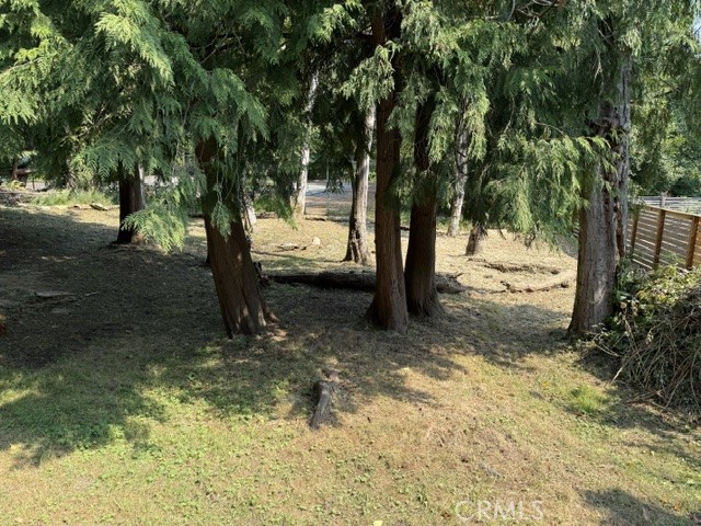 3700 Beazer Road Bellingham, WA 98226 - Photo 8 of 58 Gallery Image 8