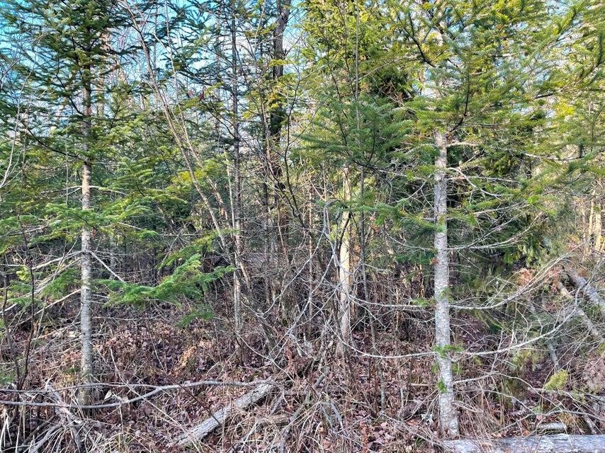 5-acres North Everett Road Roscommon, MI 48653 - Photo 2 of 8 Gallery Image 2