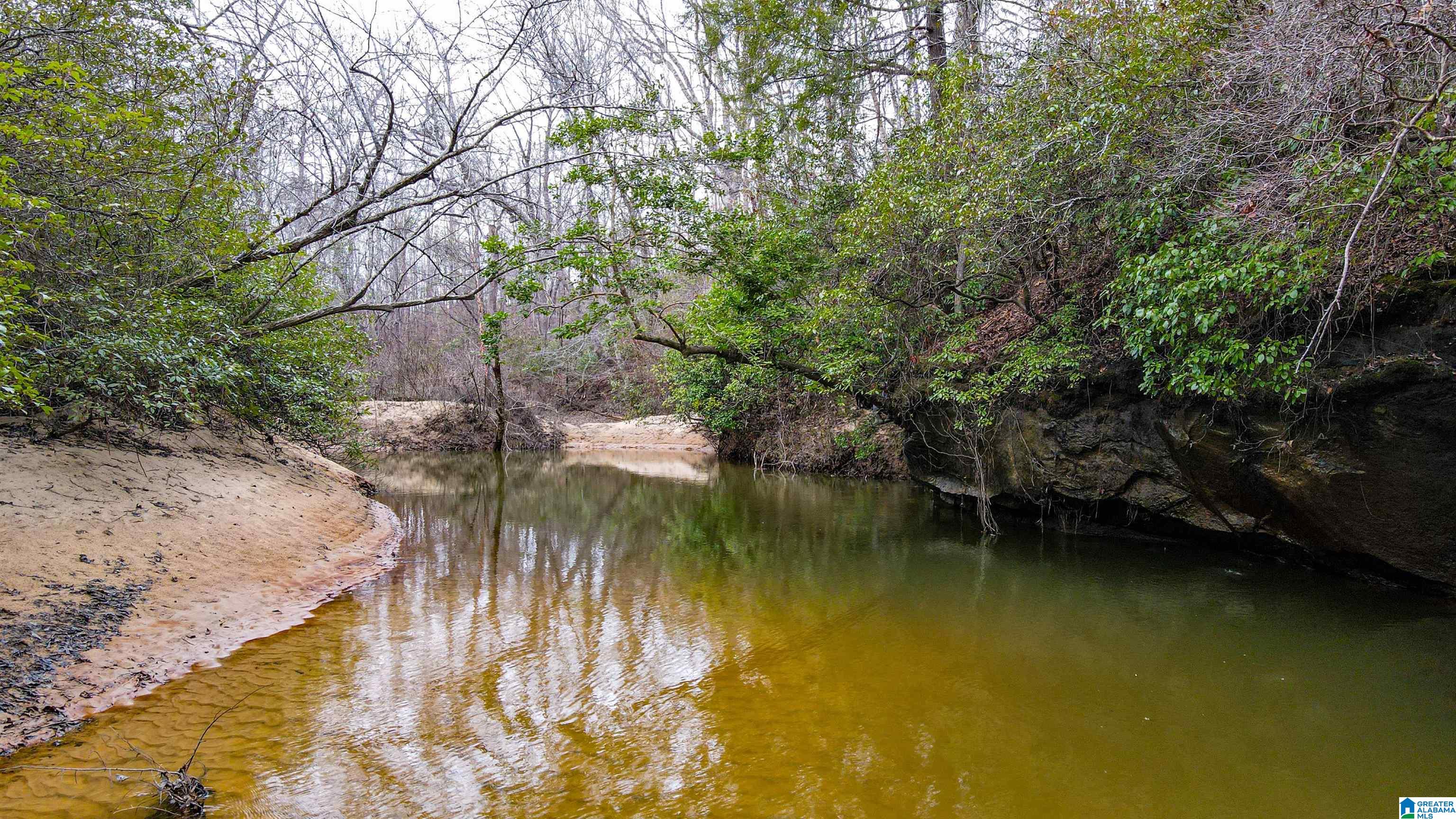 339 County Road Nauvoo, AL 35578 - Photo 1 of 57