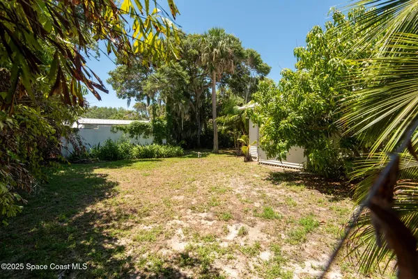 a view of a yard with plants and trees