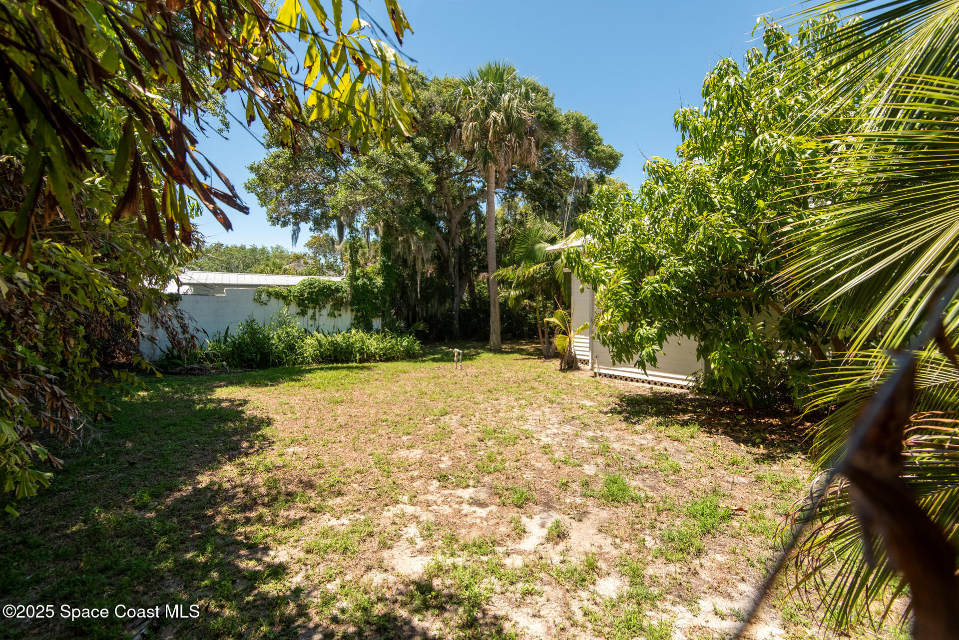 2101 Vernon Place Melbourne, FL 32901 - Photo 6 of 16 a view of a yard with plants and trees