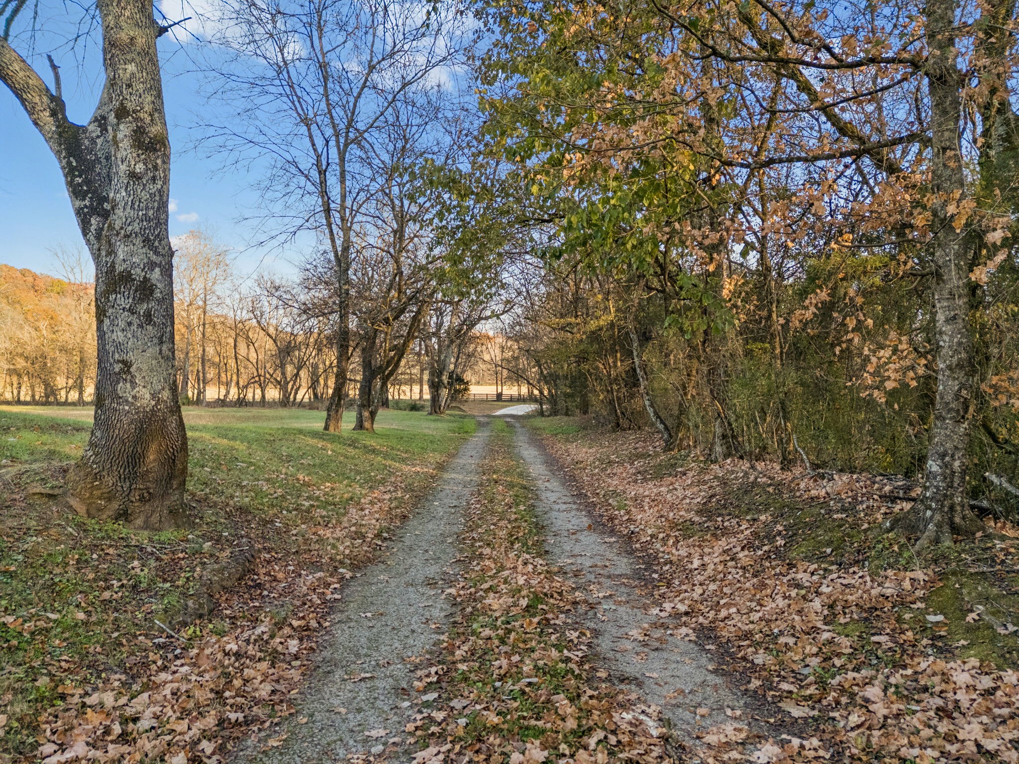 935 Leatherwood Creek Road Pulaski, TN 38478 - Photo 21 of 36 a view of outdoor space with trees