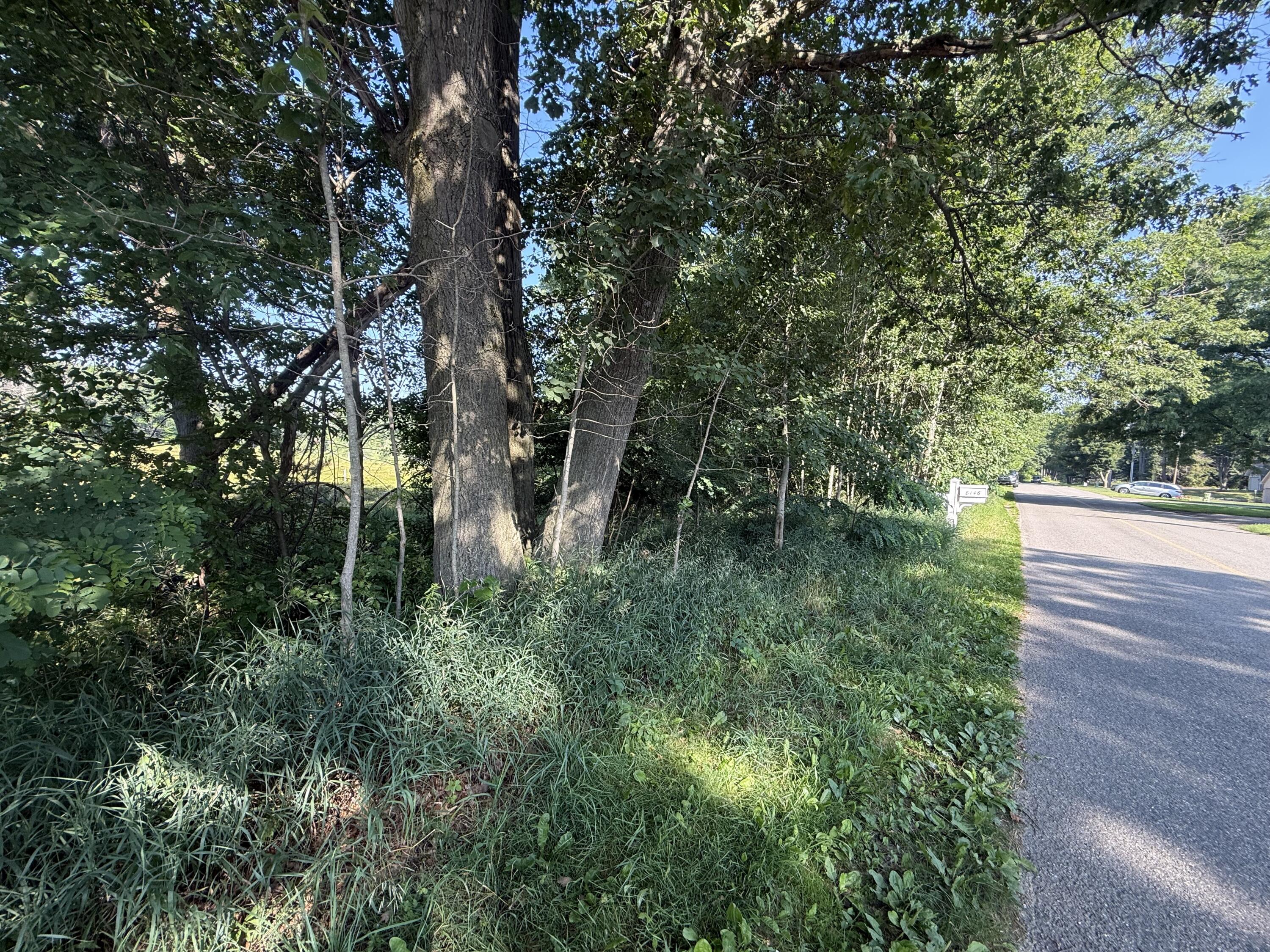 Tbd West Royal Road, Unit 2 Stanwood, MI 49346 - Photo 5 of 9 IMG_0860