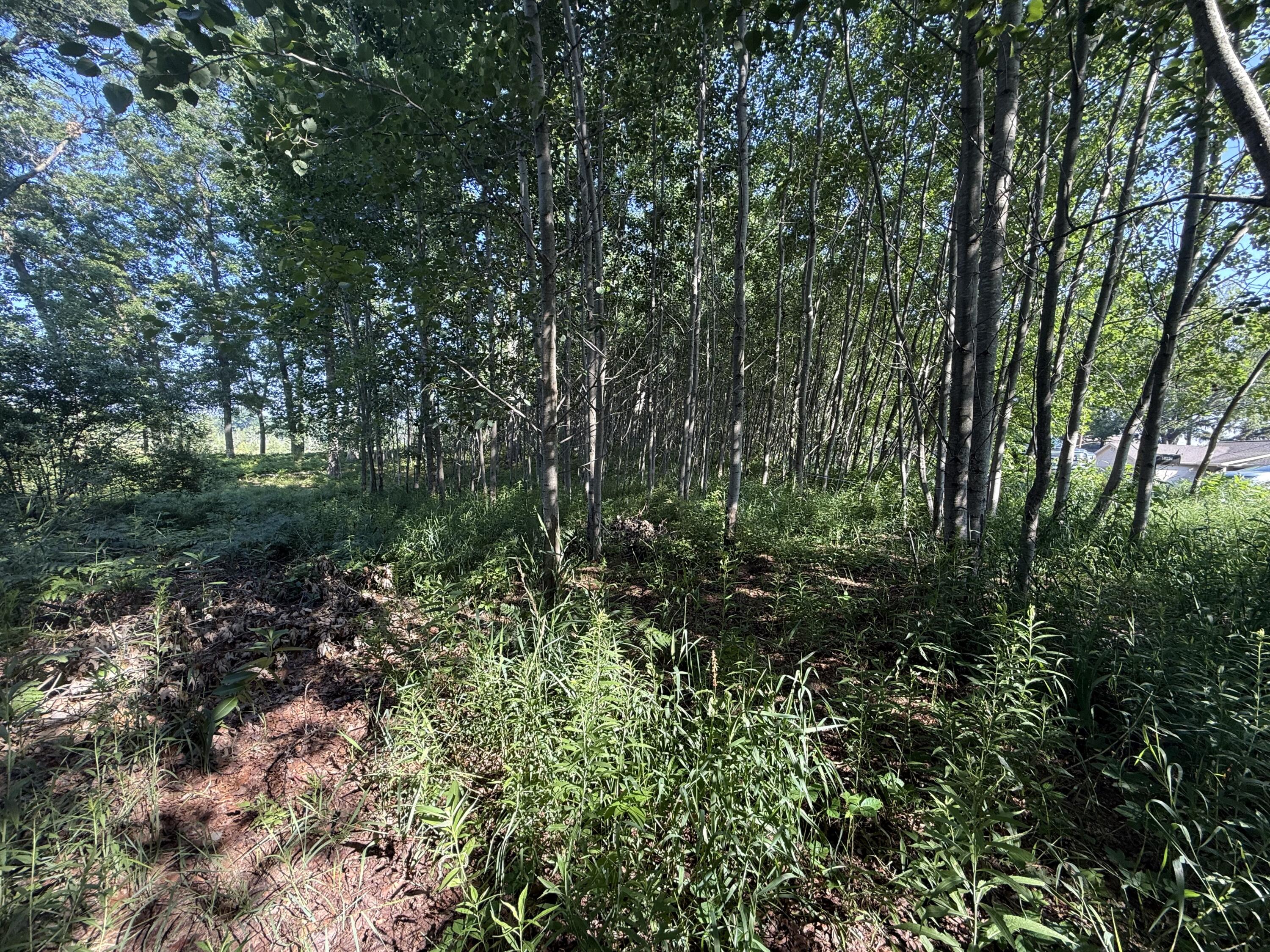 Tbd West Royal Road, Unit 2 Stanwood, MI 49346 - Photo 6 of 9 IMG_0862