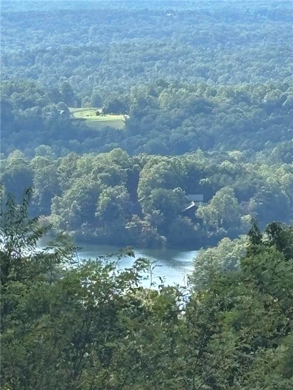 0 Little Hendricks Mountain Road Jasper, GA 30143 - Photo 15 of 27