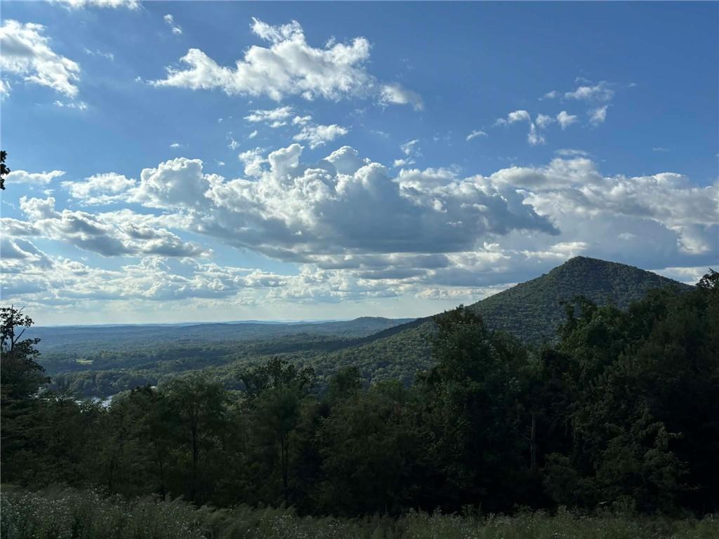 0 Little Hendricks Mountain Road Jasper, GA 30143 - Photo 16 of 27
