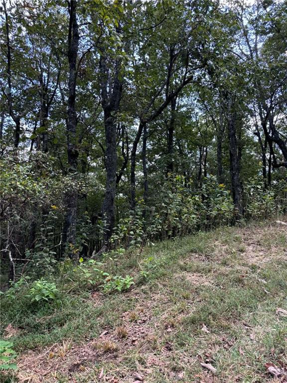 0 Little Hendricks Mountain Road Jasper, GA 30143 - Photo 2 of 27