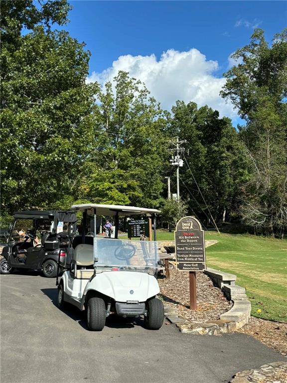 0 Little Hendricks Mountain Road Jasper, GA 30143 - Photo 3 of 27