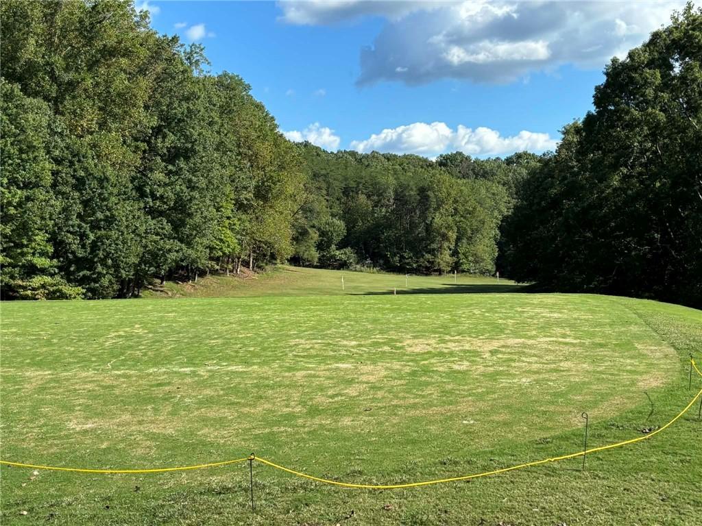 0 Little Hendricks Mountain Road Jasper, GA 30143 - Photo 4 of 27