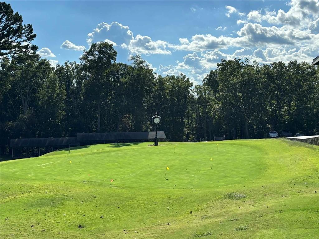 0 Little Hendricks Mountain Road Jasper, GA 30143 - Photo 5 of 27