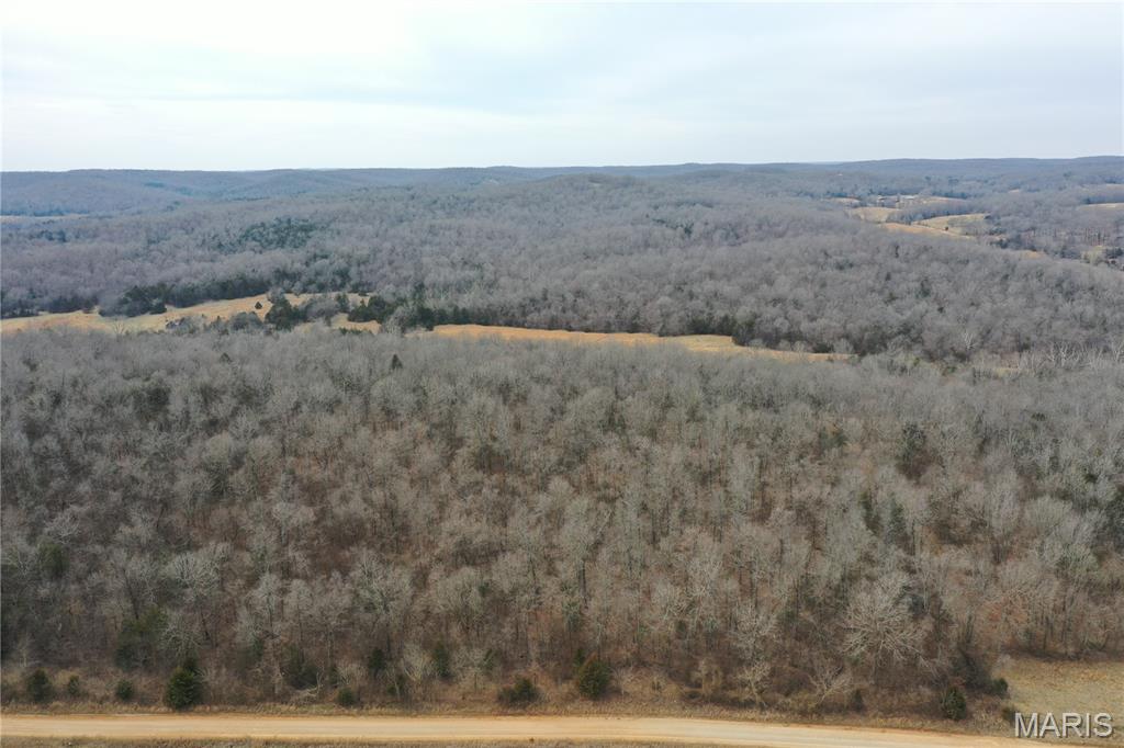 Tbd Upper Janes Creek Road Ravenden, AR 72459 - Photo 15 of 73