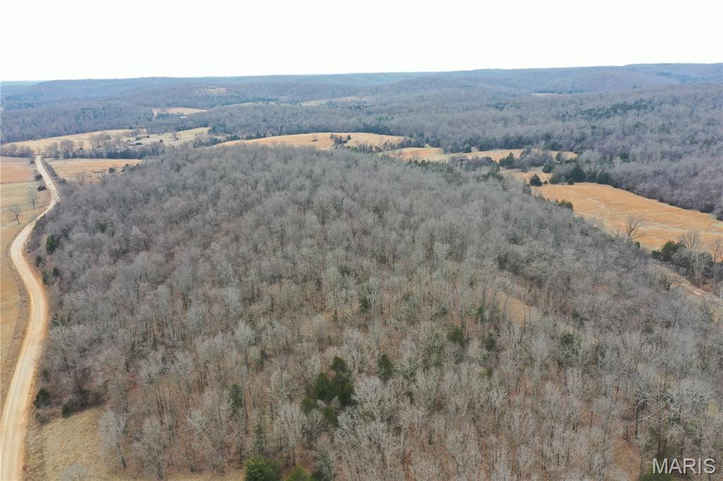 Tbd Upper Janes Creek Road Ravenden, AR 72459 - Photo 16 of 73