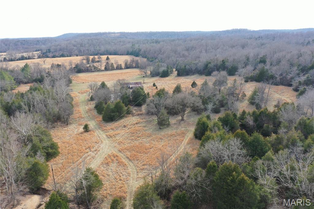 Tbd Upper Janes Creek Road Ravenden, AR 72459 - Photo 44 of 73