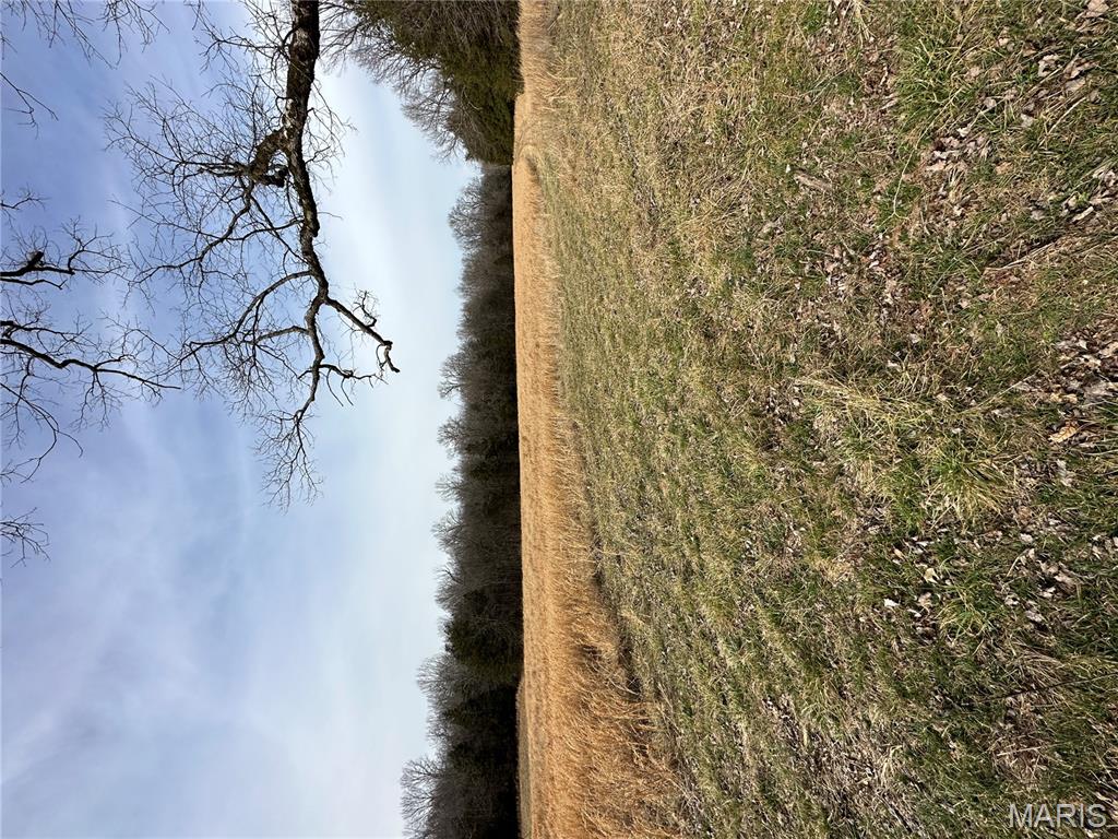 Tbd Upper Janes Creek Road Ravenden, AR 72459 - Photo 61 of 73