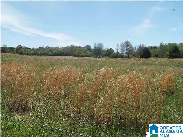 306 Hamm Road Blountsville, AL 35031 - Photo 13 of 28