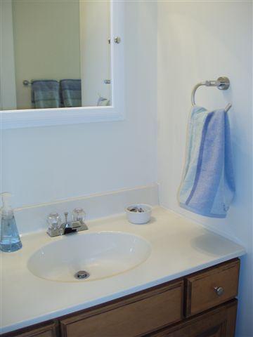 1562 Bush Road Cresco, PA 18326 - Photo 23 of 30 a bathroom with a sink and a window