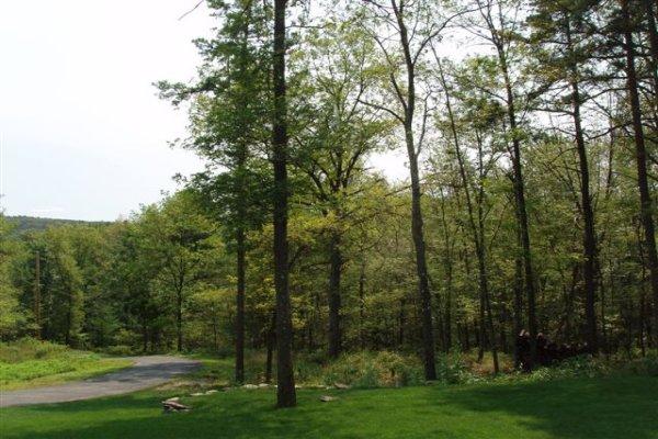 1562 Bush Road Cresco, PA 18326 - Photo 4 of 30 a view of a park