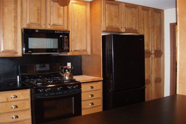 1562 Bush Road Cresco, PA 18326 - Photo 6 of 30 a kitchen with stainless steel appliances a stove and a microwave