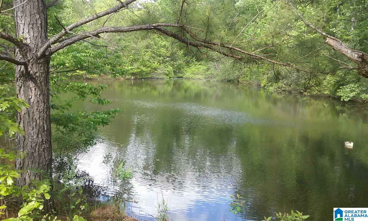 Old Jackson Road, Unit LEGAL Centreville, AL 35042 - Photo 6 of 11