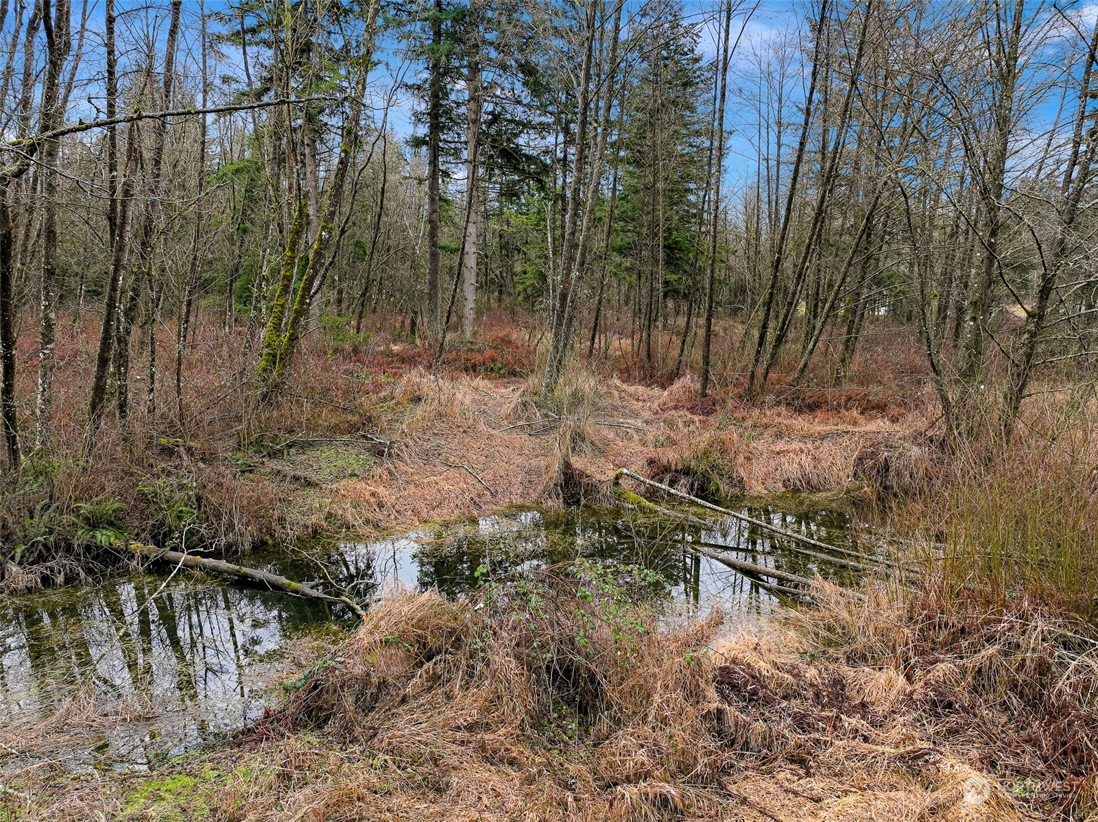 1837 H Street Road Blaine, WA 98230 - Photo 12 of 20 a backyard of a house with lots of green space