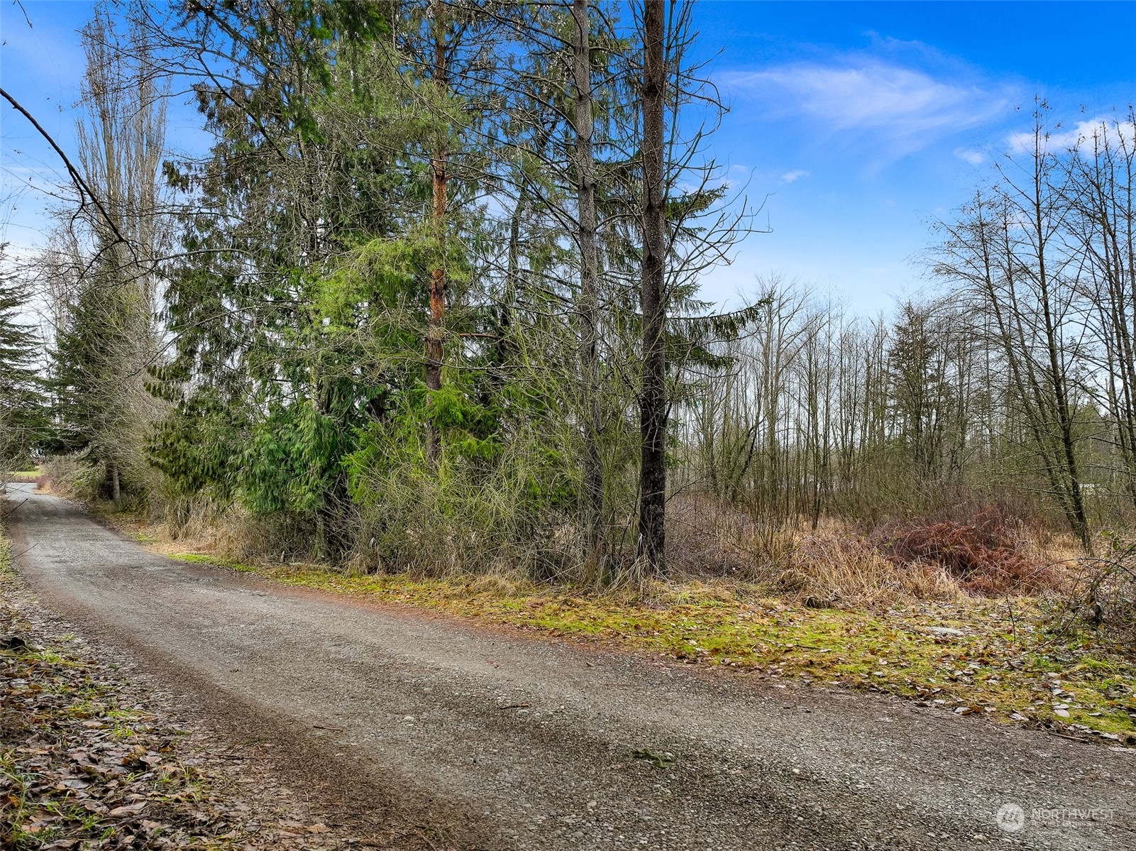 1837 H Street Road Blaine, WA 98230 - Photo 13 of 20 a view of a yard with trees