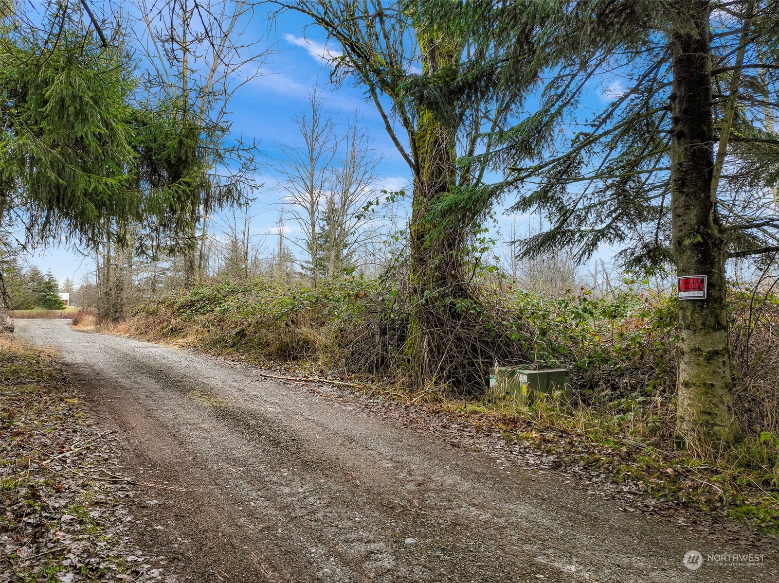 1837 H Street Road Blaine, WA 98230 - Photo 16 of 20 a view of a yard with plants and trees