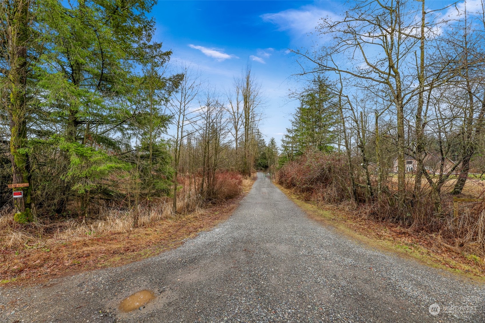 1837 H Street Road Blaine, WA 98230 - Photo 20 of 20 a view of a forest with trees
