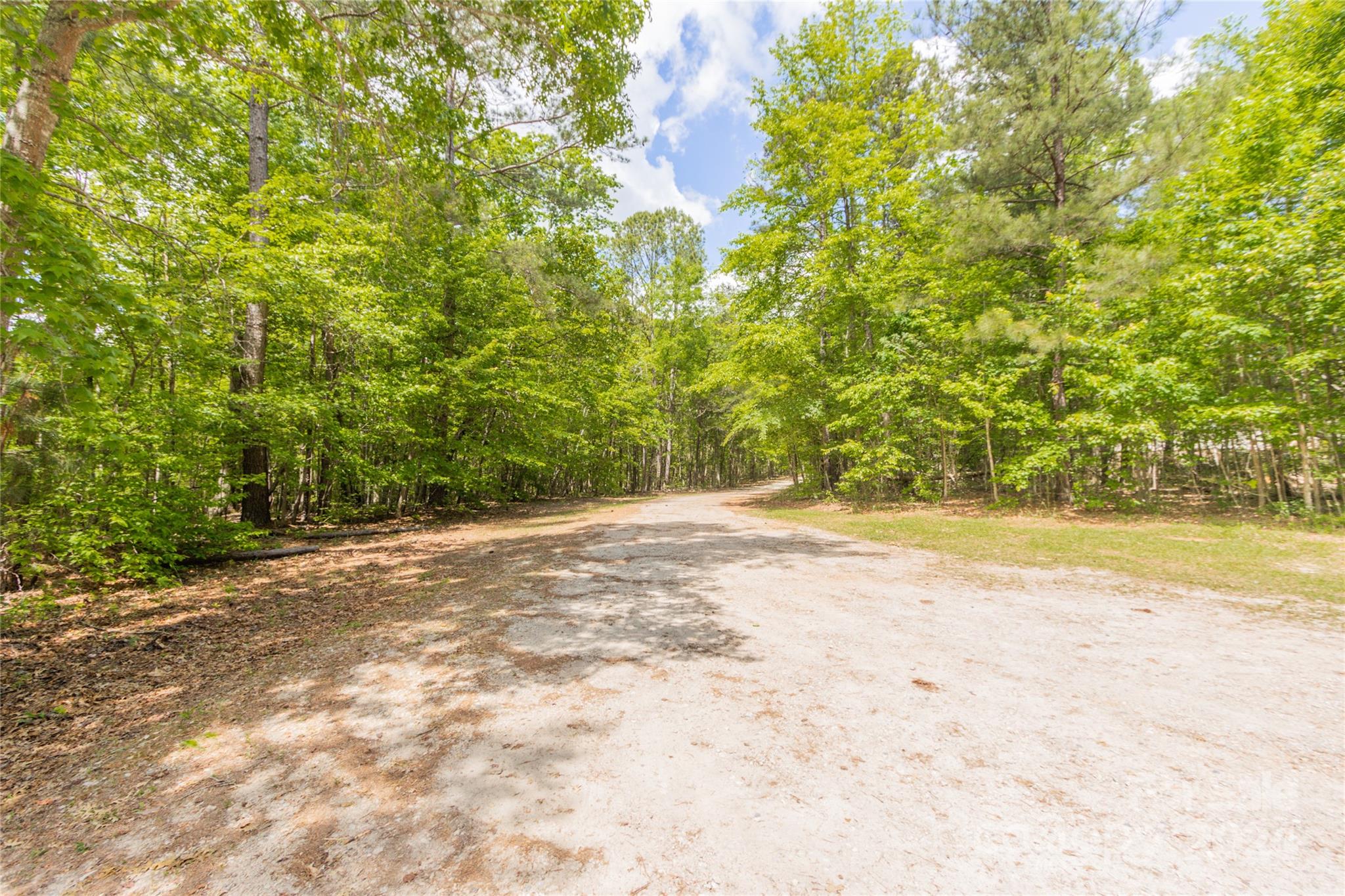 1994 Zion Road Lancaster, SC 29720 - Photo 4 of 45 a view of a yard with a trees