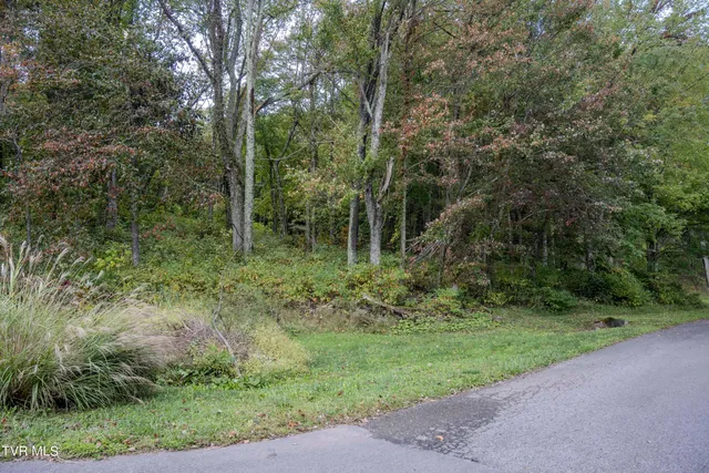 $60,000 | Lot 78-77 Forest Lodge Drive, Unit 78, Lebanon, VA 24266