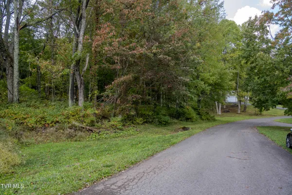 $60,000 | Lot 78-77 Forest Lodge Drive, Unit 78, Lebanon, VA 24266