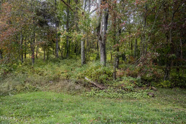 $60,000 | Lot 78-77 Forest Lodge Drive, Unit 78, Lebanon, VA 24266