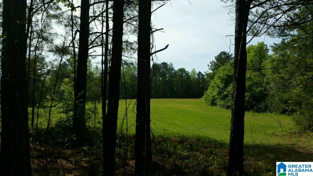 0 Elam School House Road, Unit 36 ACRES Brent, AL 35034 - Photo 2 of 7