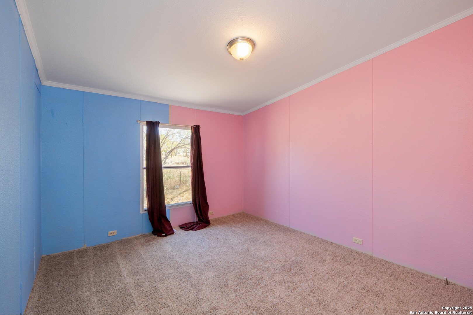 1007 County Road 773 Devine, TX 78016 - Photo 24 of 31 an empty room with windows