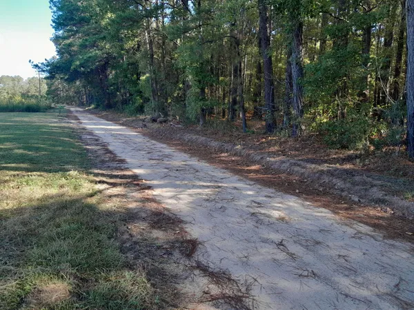 $150,000 | 0 Ellexlee Road, Santee, SC 29142