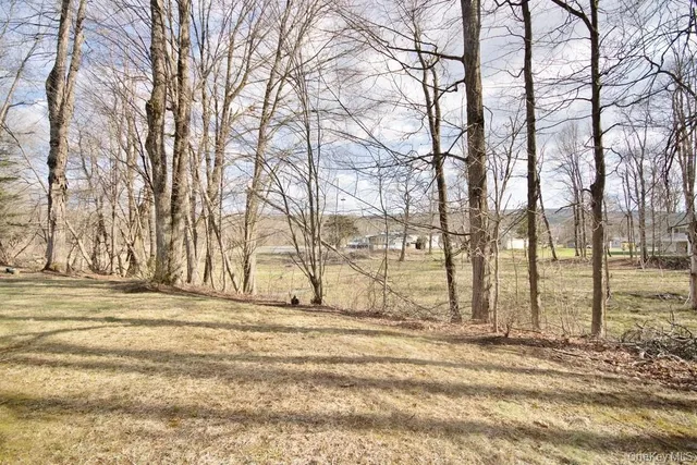 a view of a backyard of the house