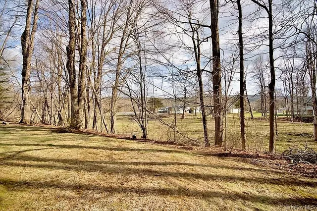 a view of a house with trees