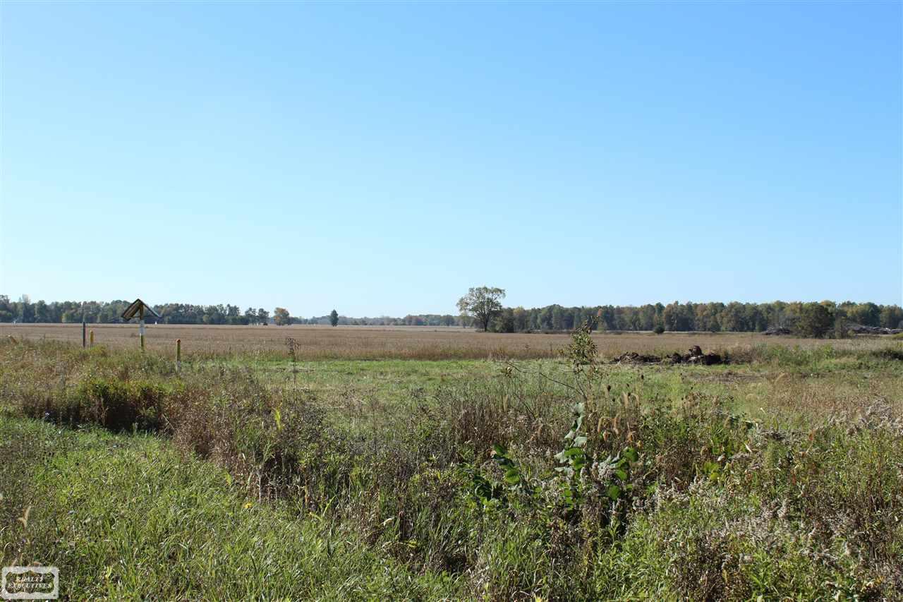 0 Sperry Allenton, MI 48002 - Photo 3 of 9