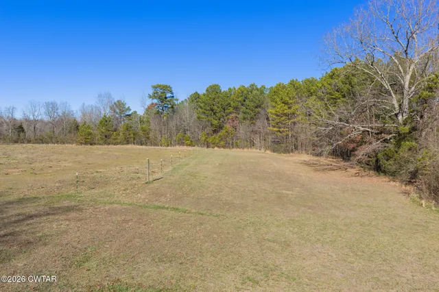a view of a field with trees in the background