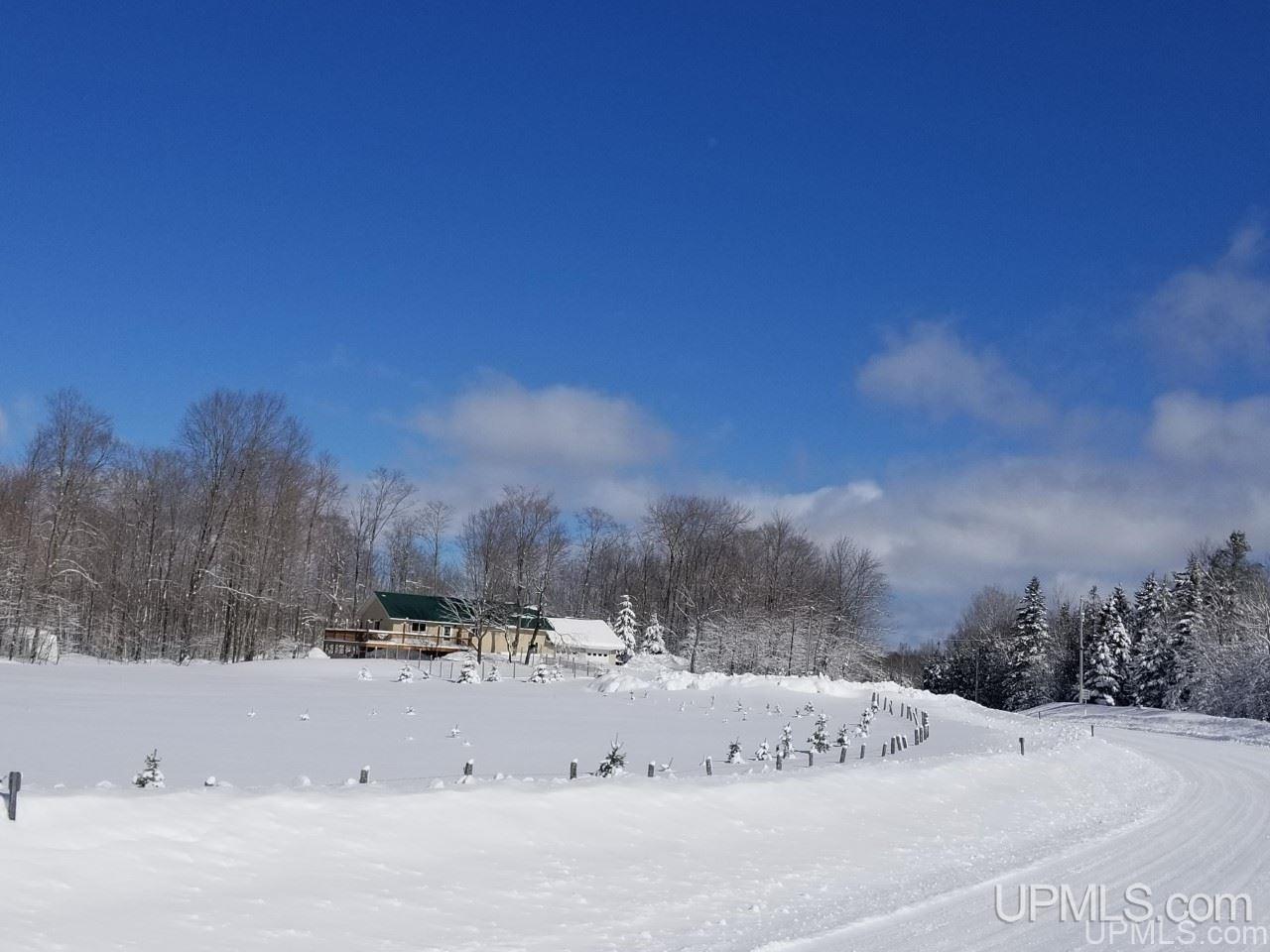 2013 River Road Gulliver, MI 49840 - Photo 2 of 27 Gallery Image 2